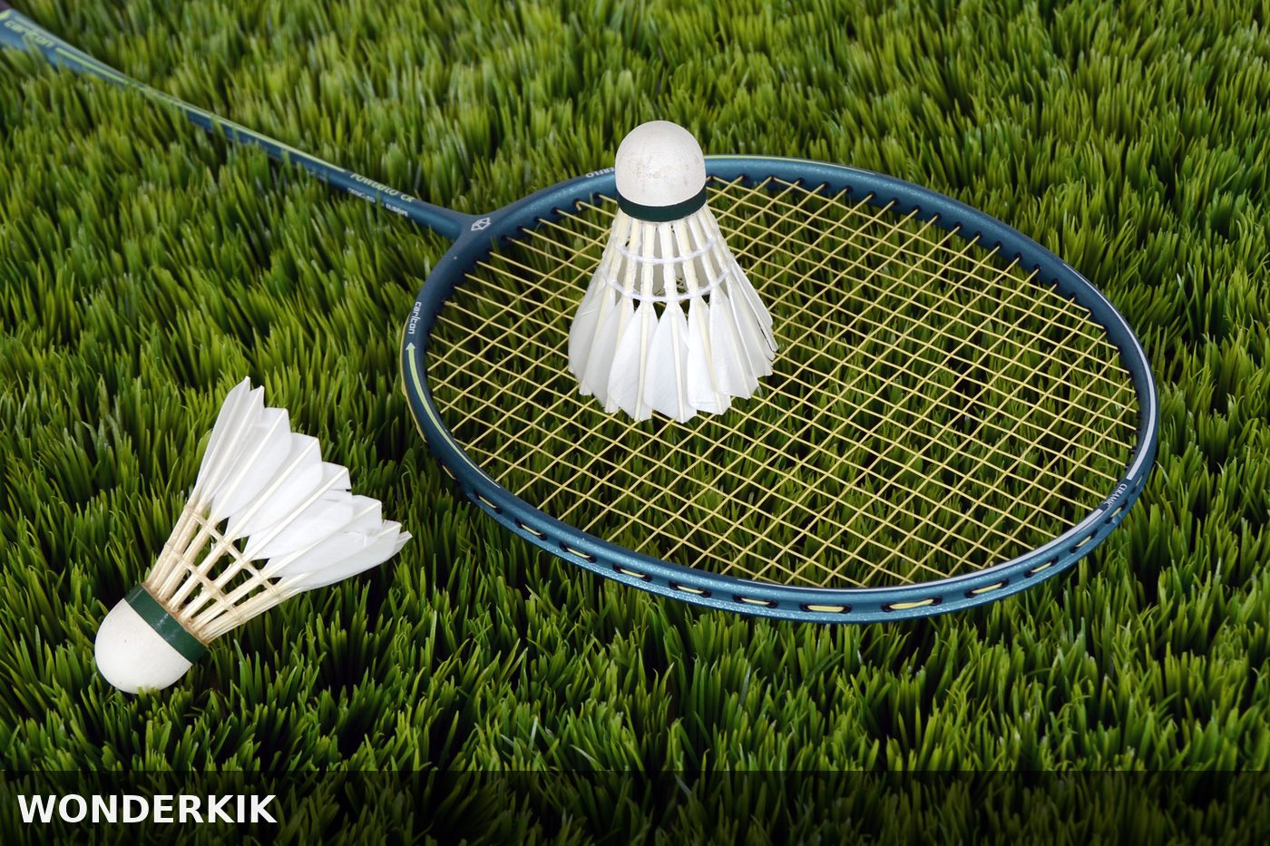 Badminton Shuttlecock