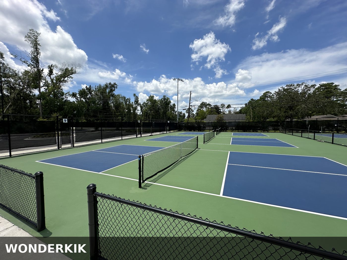 Pickleball