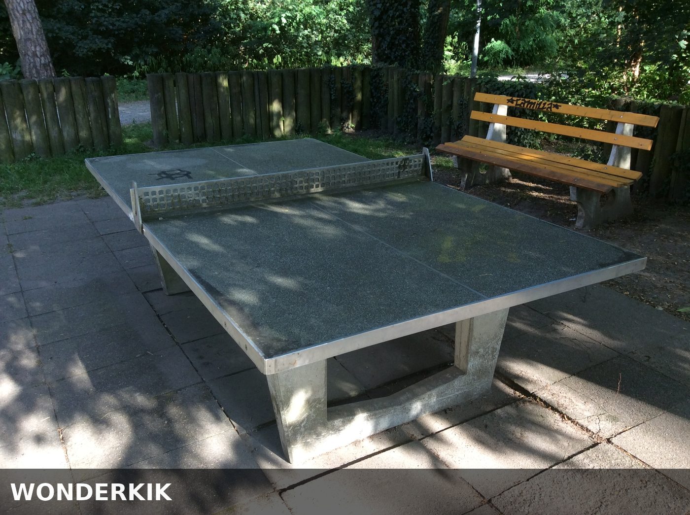 Table Tennis