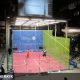 Featured image: Squash