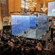 Featured image: Squash