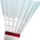 Featured image: Badminton