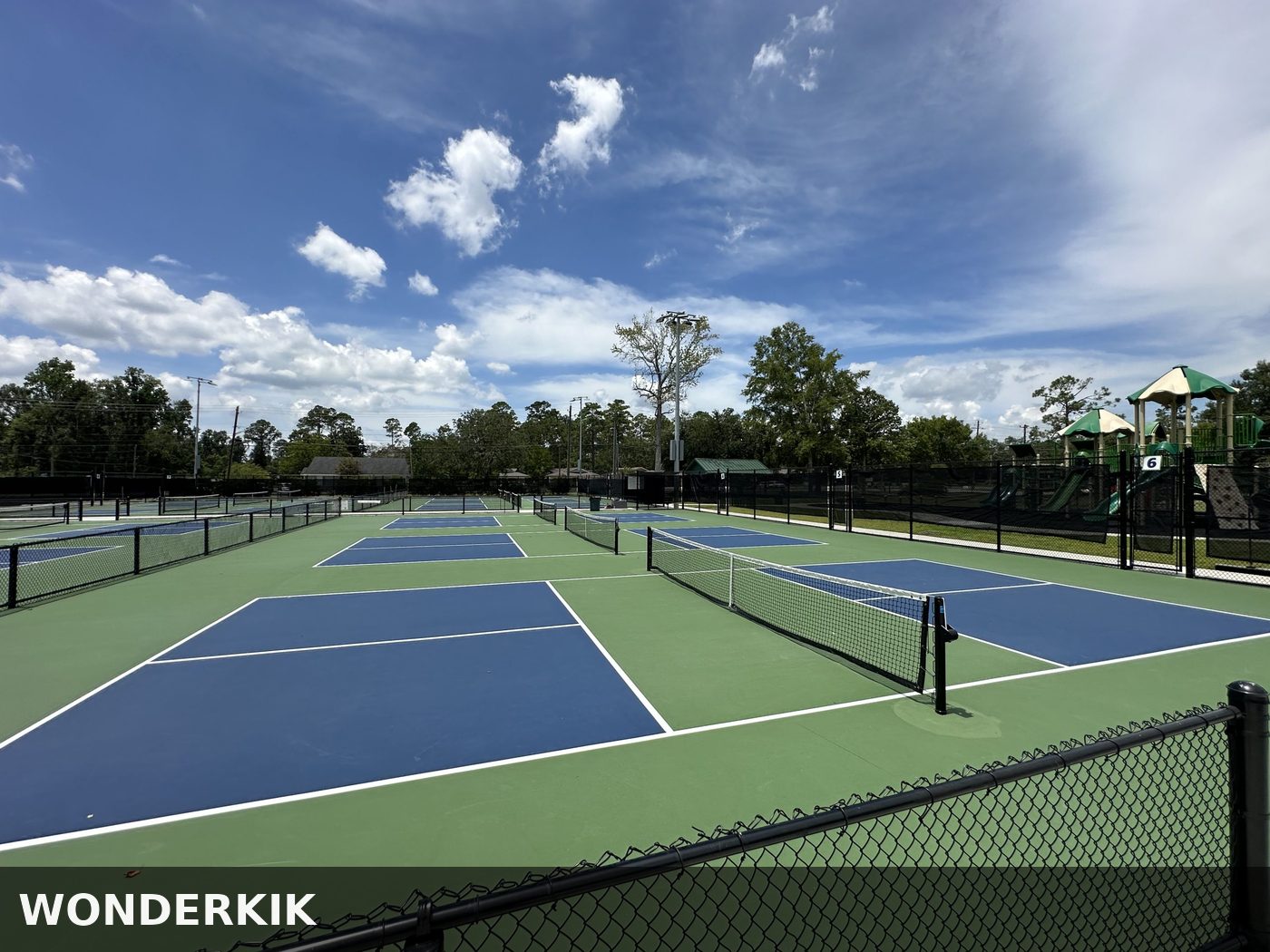Pickleball Net