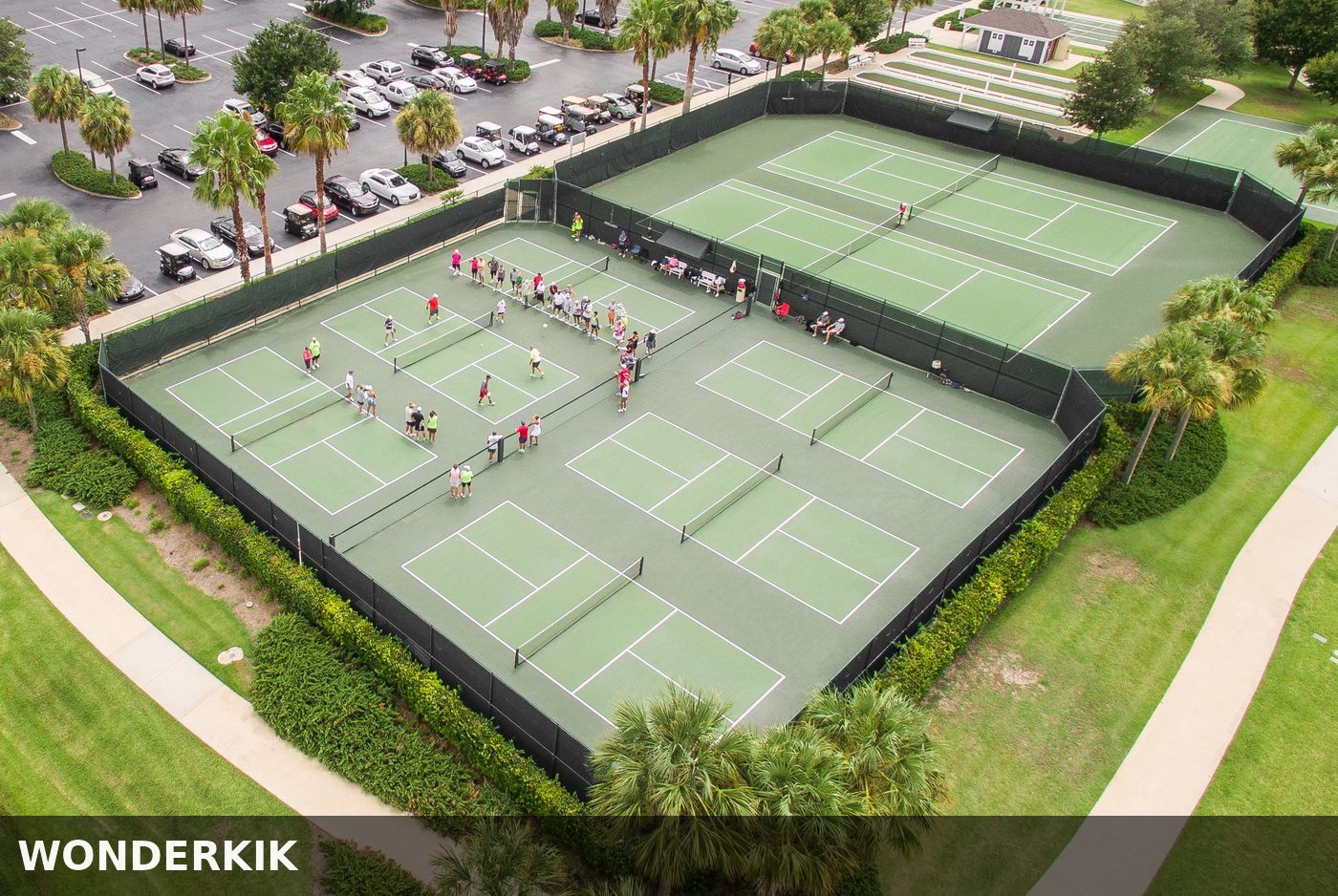 Featured image: Pickleball Action