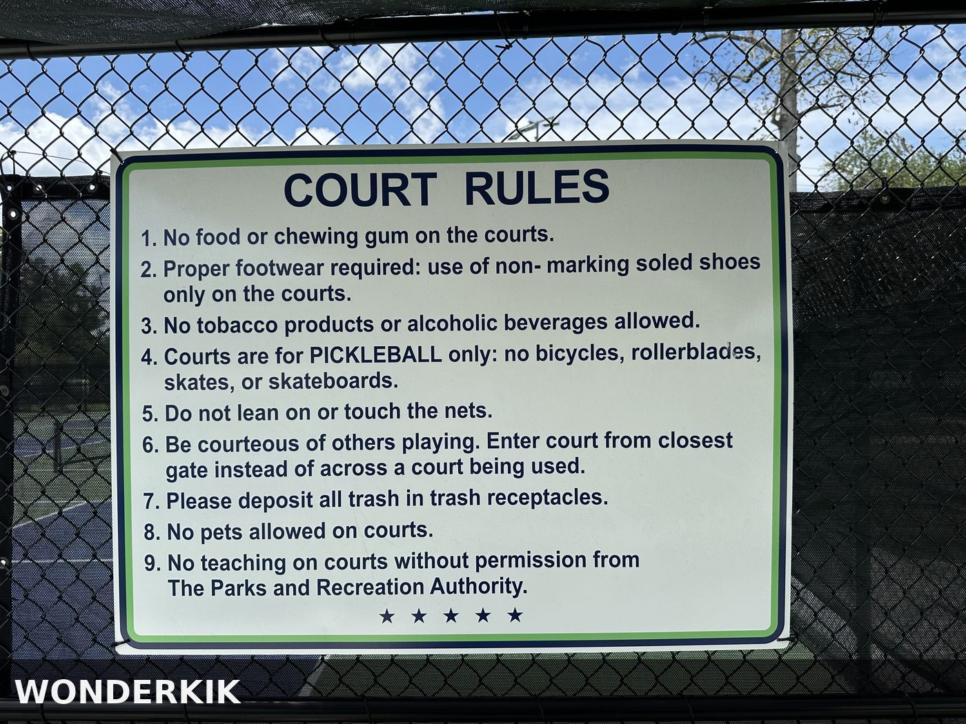 Featured image: Pickleball Game